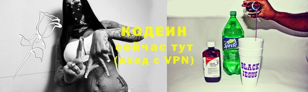 дурь Осташков