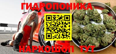 стафф Канаш