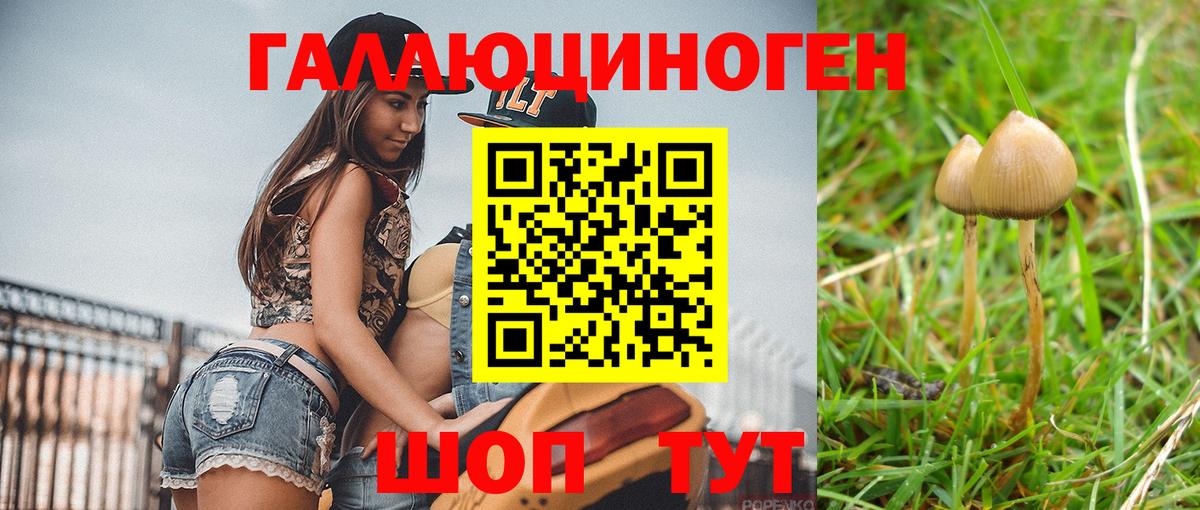 как найти наркотики  Ступино  Галлюциногенные грибы MAGIC MUSHROOMS  Псилоцибиновые грибы MAGIC MUSHROOMS 