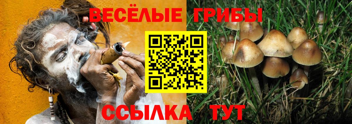 Псилоцибиновые грибы мицелий Ступино