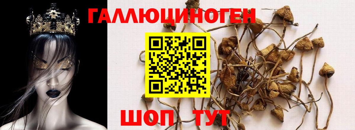 Псилоцибиновые грибы мухоморы Ступино
